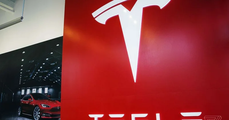 “Tesla”nın qazancı kəskin azaldı