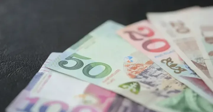 PAŞA Bank ın Gürcüstandakı törəməsi maliyyə vəziyyətini açıqlayıb
