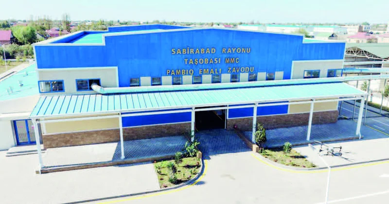 Pambıq mahlıca çevriləndə əsl “qızıl” olur