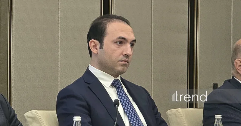 Количество мгновенных платежей в Азербайджане достигло 1 млн в день ЦБА