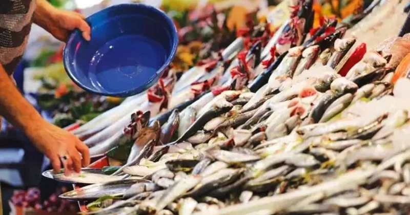 Hansı balıq növü nə qədər bahalaşıb?