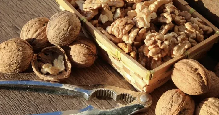 Belə qoz fındığı bütün qış saxlamamaq daha yaxşıdır SƏBƏBİ