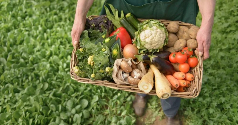 Латвия нацелена на расширение экспорта пищевой продукции и технологий в Казахстан (Эксклюзив)