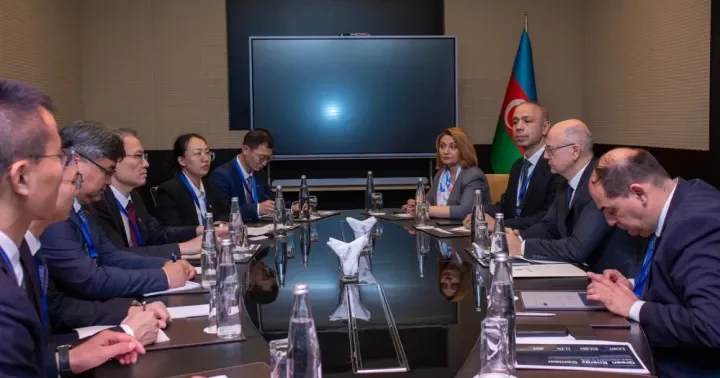 Çin şirkəti Azərbaycanda 200 MVt gücündə dəniz külək elektrik stansiyası tikmək imkanlarını araşdırır