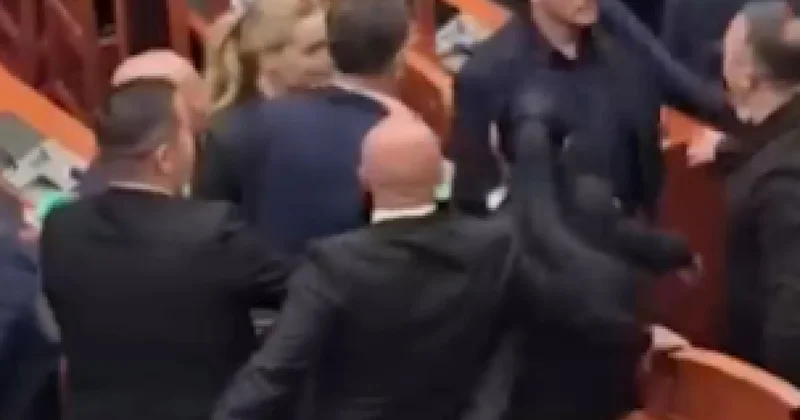 Драка депутатов видео