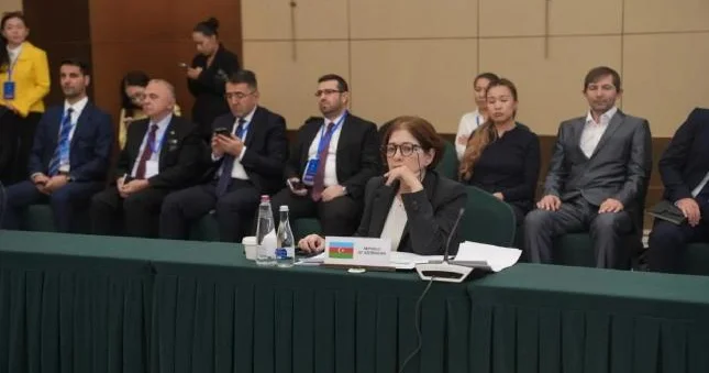 İndira Hacıyeva Bişkekdə TDT nin gənclər və idman nazirlərinin iclasında iştirak edib