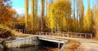 Azərbaycan kəndinin bar bərəkət mövsümü