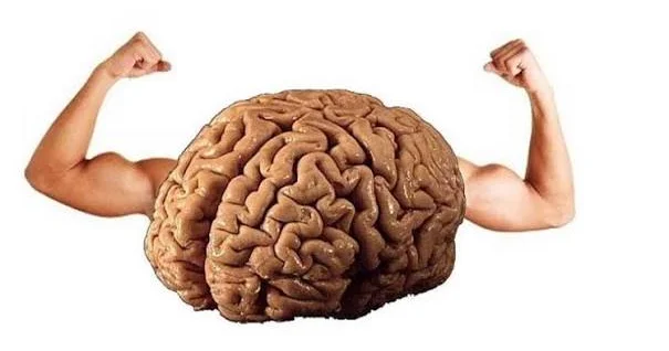 Beynimiz nə qədər məlumat saxlaya bilər? Yaddaşımızın həcmi açıqlandı
