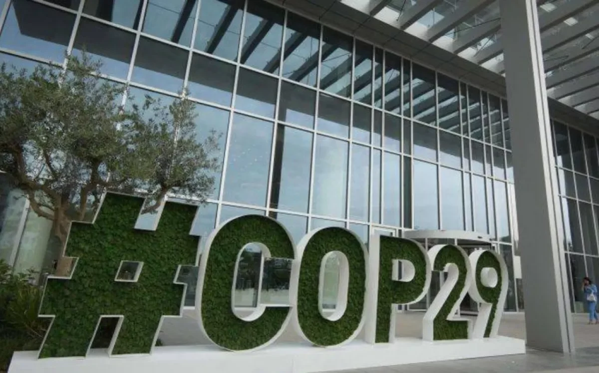 Посольство Бельгии заявило о невероятном сотрудничестве на COP29