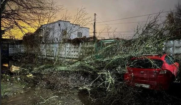 Moskvada güclü siklon: Yaralılar var