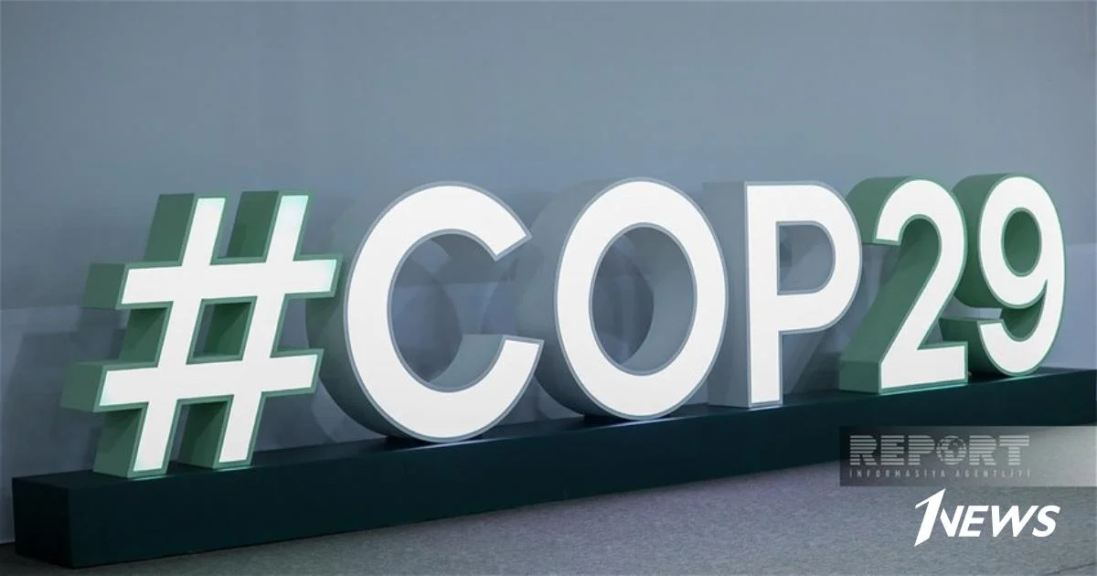 Активисты на COP29: Развитые страны уклоняются от выполнения своих обязательств Новости