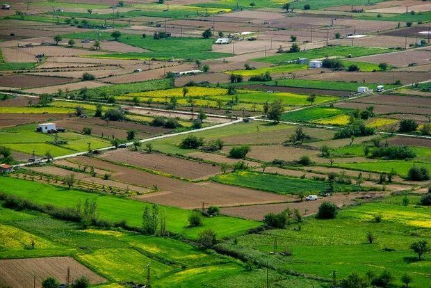 Azərbaycanda bu torpaqlar da satışa çıxarılır