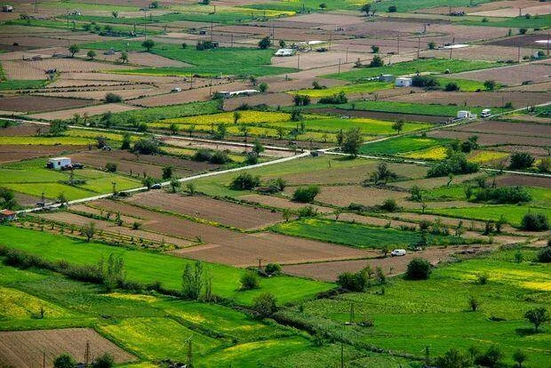 Azərbaycanda bu torpaqlar satışa çıxarılır