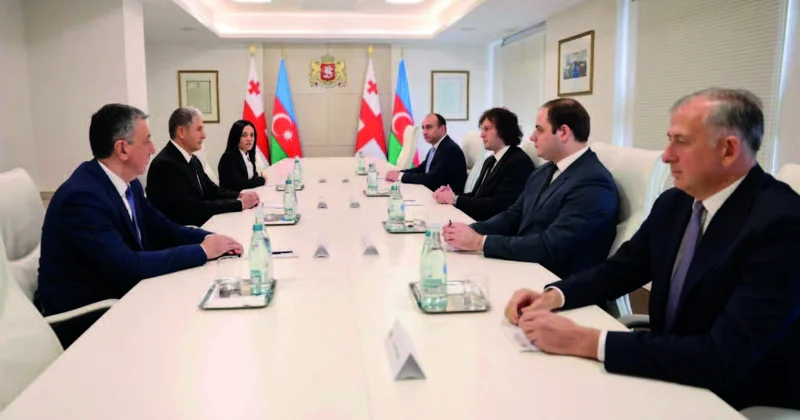 Azərbaycanın daxili işlər naziri Gürcüstanda