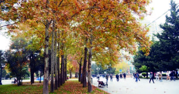 Yağmursuz, arabir də dumanlı şənbə...