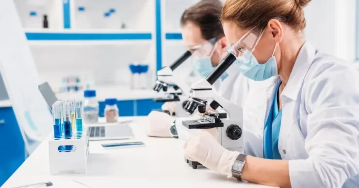 Dünyada ilk yaranan heyvan hansı olub? Alimlər cavabı tapdılar