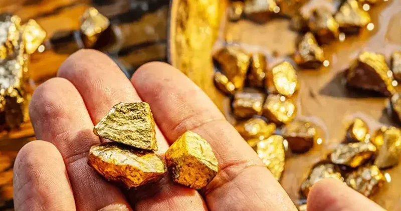 Nəhəng ehtiyat aşkar edildi: Qazılan hər yerdən qızıl çıxır 107 tonluq xəzinə