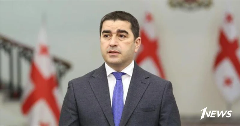 Спикер парламента Грузии: Украина не может ни продолжать, ни закончить конфликт