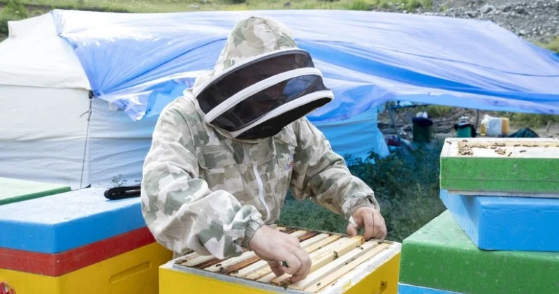 Azad olunan ərazilərə köçürülən sakinlərdən 7 027 şəxsin məşğulluğu təmin edilib