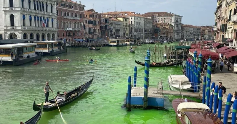 Экоактивисты с участием Тунберг окрасили воду в Гранд канале Венеции Minval Politika