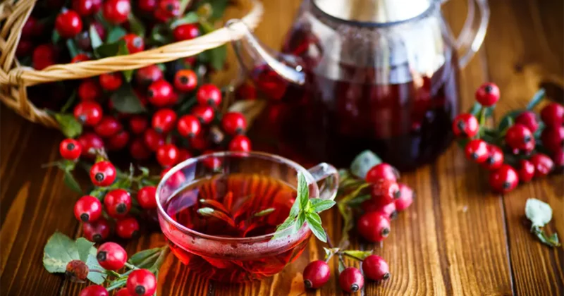 Bu çay soyuqdəymənin dərmanıdır