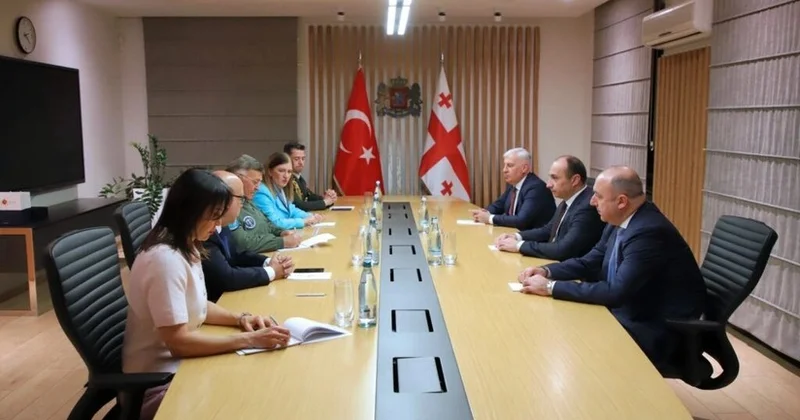Gürcüstanın daxili işlər naziri türkiyəli generalla təyyarə qəzasını müzakirə edib