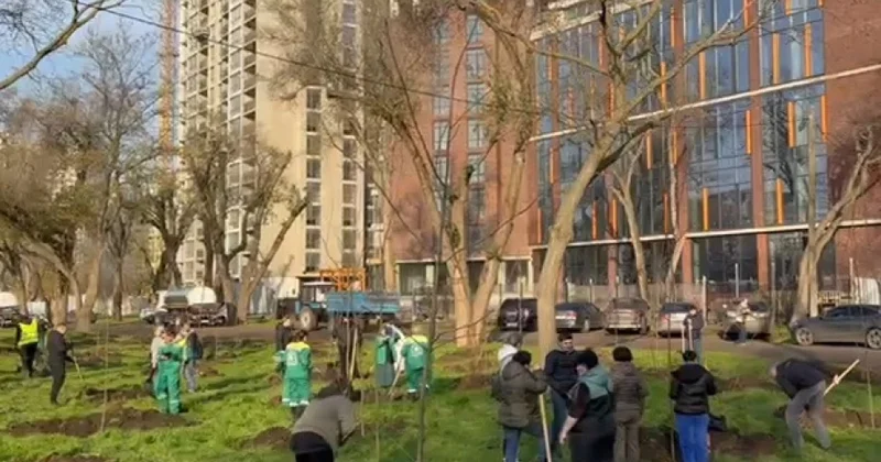 Odessa şəhərində 8 Noyabr Zəfər Günü ilə bağlı ağacəkmə aksiyası təşkil olunub