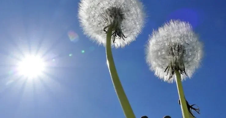 Sabah 20 dərəcədən çox isti olacaq PROQNOZ