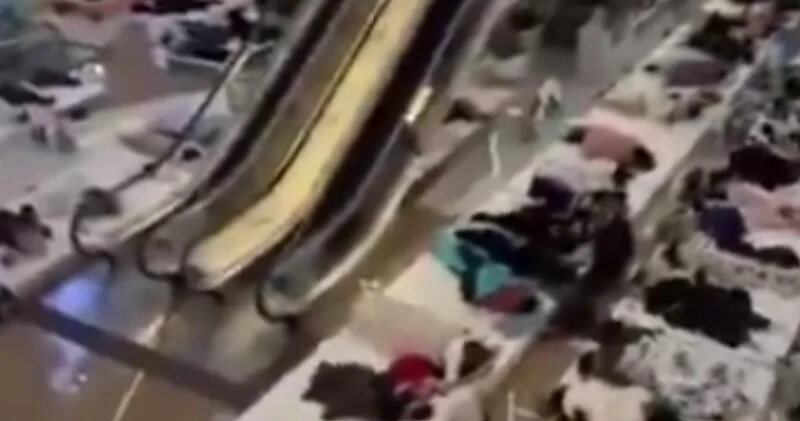 В Китае состоялся конкурс по лени ВИДЕО