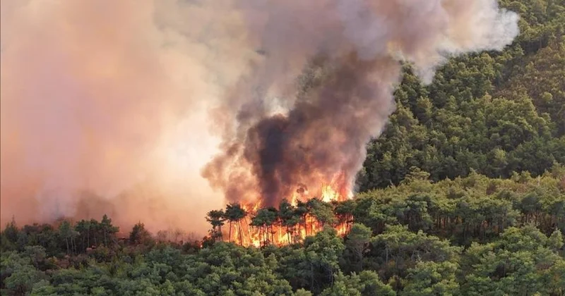 İranda Hirkan meşələri yanır Tehran yardım istəyir
