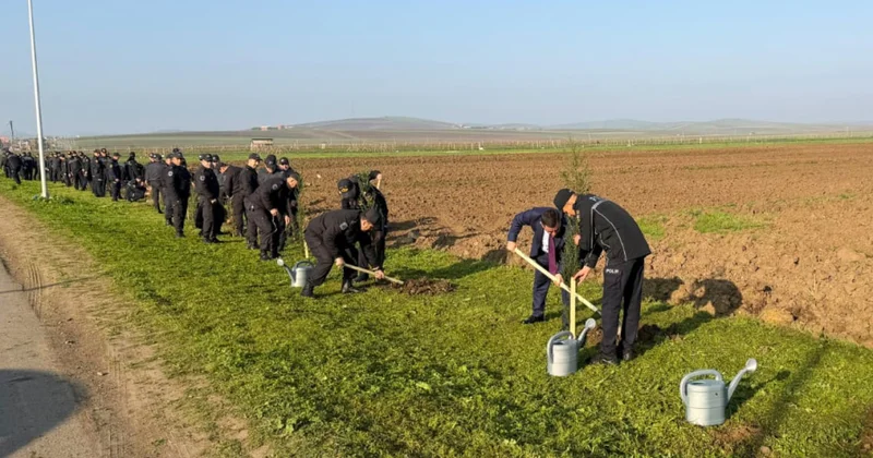 Polis əməkdaşları Cəlilabadda ağacəkmə kampaniyası keçiriblər