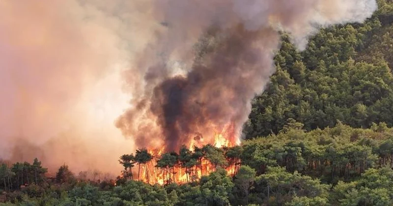 Иранцы умоляют помочь