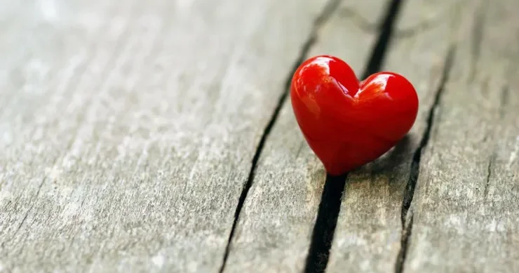 Partnyorunuzla əlaqənizi və münasibətinizi necə canlandırmaq olar? dörd gizli sevgi dili