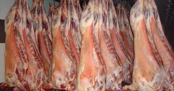 Qida eksperti “monqol quzuları” ilə bağlı hər şeyi DANIŞDI