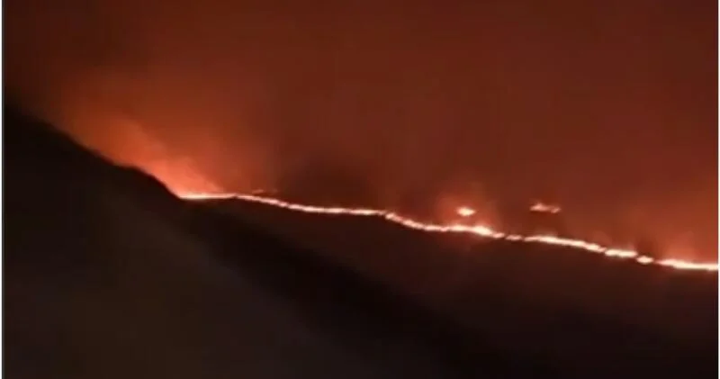 В Армении вспыхнул сильный пожар ВИДЕО