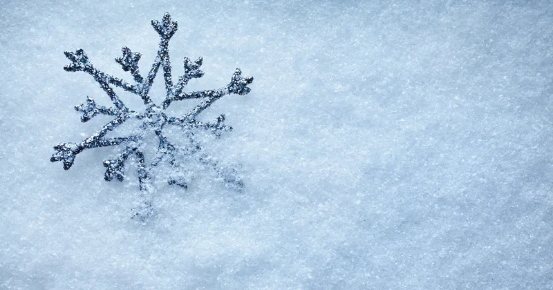Qış nağılı bitdi: Elm qar dənəcikləri haqqında illərin mifini alt üst etdi!