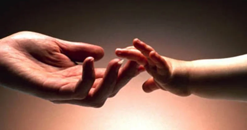 Bu il qəyyumluğa verilən uşaqların sayı açıqlandı