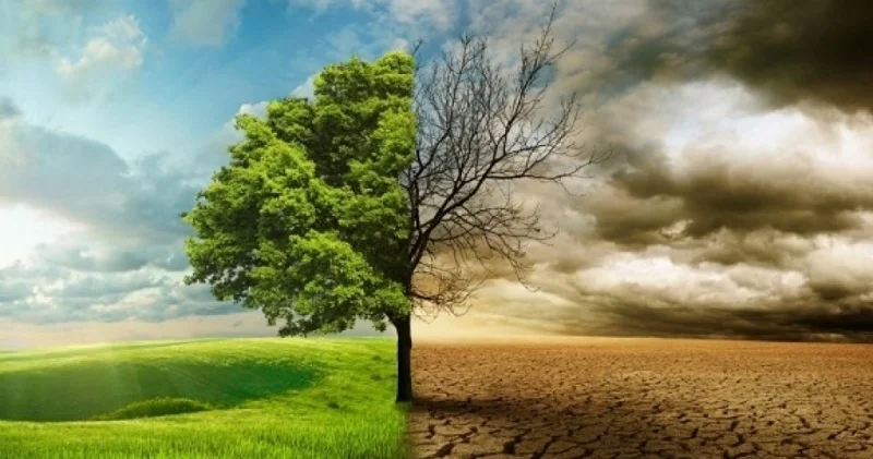 G20 də iqlimi qorumaq üçün səyləri artırmağa çağırış edilib