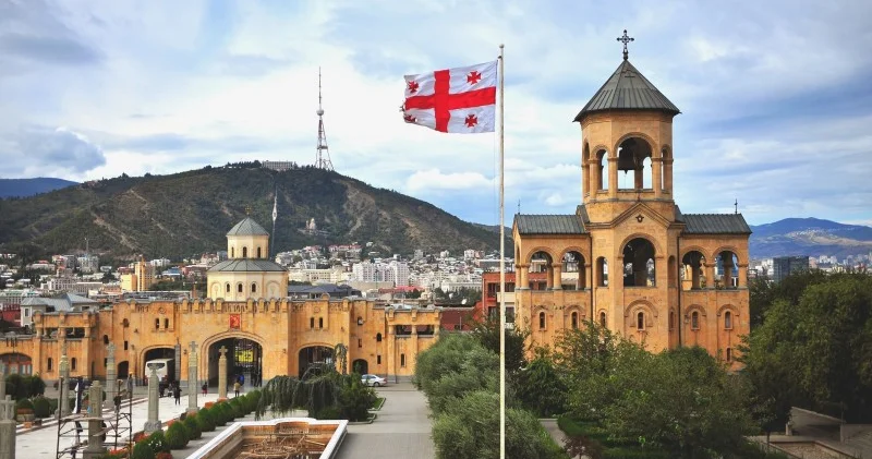 Türkiyə və Gürcüstan DİN təyyarə qəzası ilə bağlı prosesi müzakirə ediblər