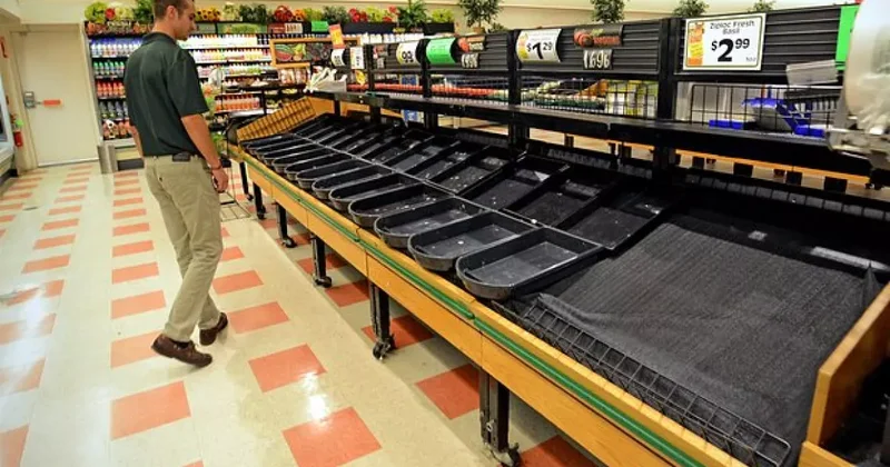 Миру предсказали резкое сокращение пшеницы при глобальном потеплении