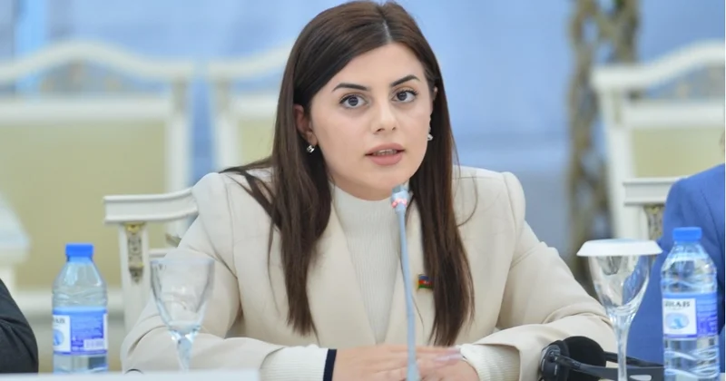 Pərvanə Vəliyeva: Azərbaycan bu gün sabitlik və təhlükəsizlik adasıdır