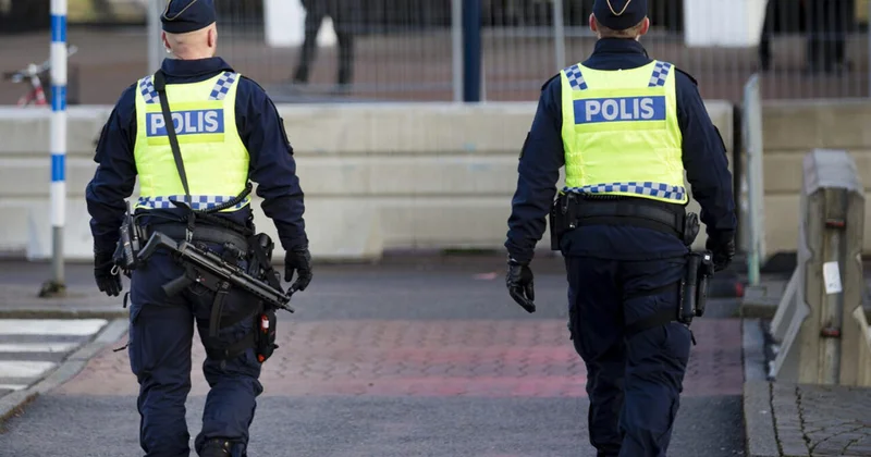 В Швеции полицейские арестовали 12 летнего убийцу