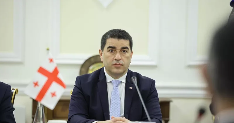 Папуашвили: Грузия выдержала колоссальное давление