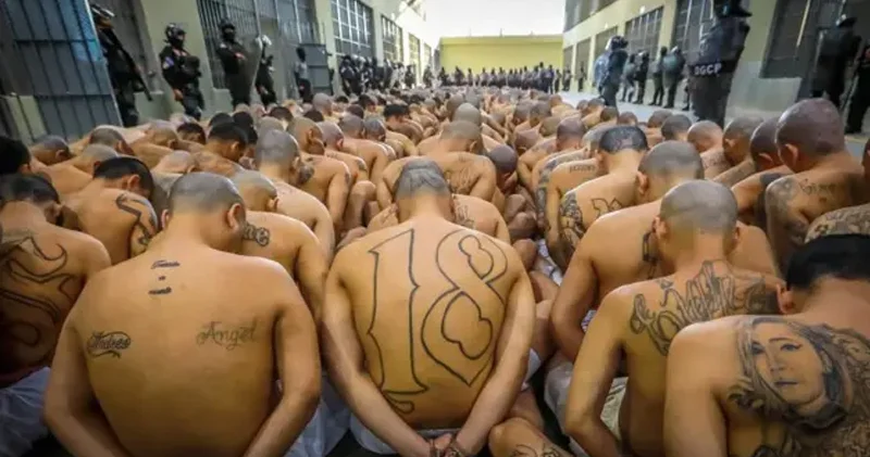 MS 13 ün 248 üzvünə hökm oxundu: Biri 1335 il həbs cəzası aldı