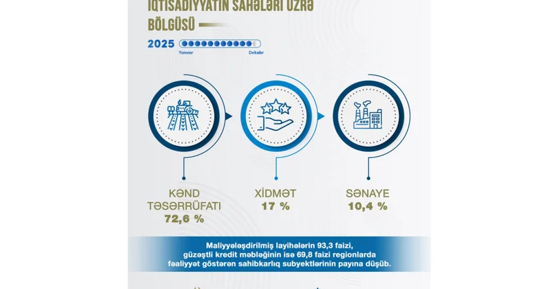 Naxçıvanda güzəştli maliyyələşmə 4,6 dəfə artıb