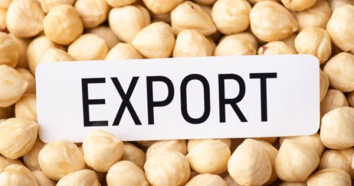 Azərbaycan fındığı xaricə daha baha satılıb, ixracından gəlirlər artıb