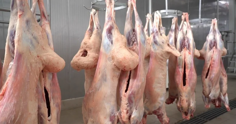 Импорт баранины в Азербайджан вырос более чем в пять раз