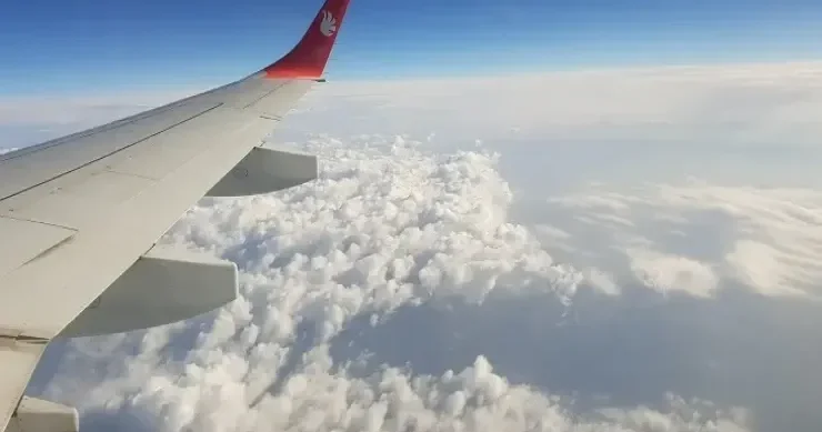 Niyə təyyarələrdə pomidor şirəsi verilmir?