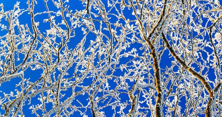 Dekabrın 23 də gözlənilən hava şəraiti