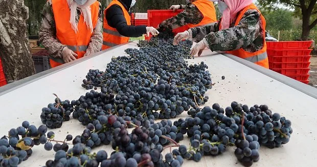 Bu məhsulun Cindən Rusiyaya tədarükü rekord həddə çatdı